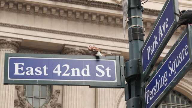 New York City Grand Central Terminal, 42 street, Park Avenue, Pershing Square architecture. Midtown district railroad hub, railway transport. NYC crossroad, East 42nd st corner, intersection road sign