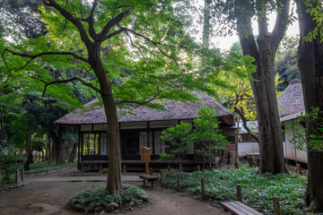 蘆花恒春園【徳冨蘆花旧居・母屋】（東京都世田谷区粕谷　芦花公園内）
