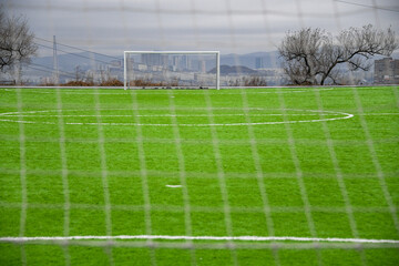 Fototapeta premium soccer field with goal