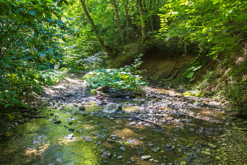nature park , a walk along the riverbed with an overview of the stone bottom and banks