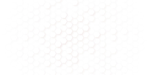 White Hexagonal Background. Luxury White Pattern. geometric mesh cell texture. modern