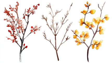 Fototapeta premium Hand drawn watercolor set featuring red and yellow branches