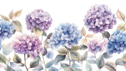 Beautiful watercolor illustration of hydrangea flowers