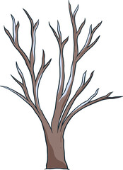 tree branch with snow winter