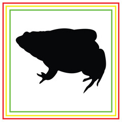frog vector design in black on white background
