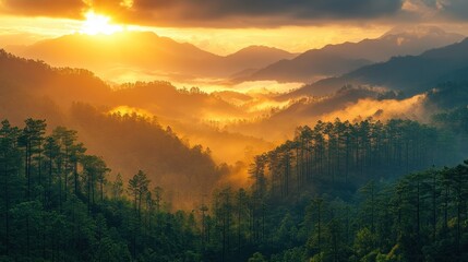 Fototapeta premium Serene sunrise over misty mountains and lush forests.