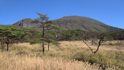 宮崎県えびの市えびの高原の韓国岳とススキ