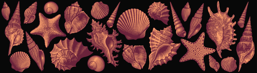 Seashells and starfish. Design set. Editable hand drawn illustration. Vector vintage engraving. Isolated on black background. 8 EPS
