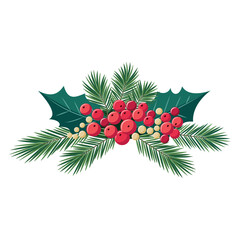 Fir branches, leaves and holly berries are collected in a Christmas composition. Vector illustration for the design of postcards, shop windows, banners.