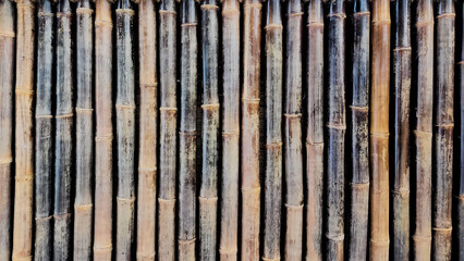 Dark brown bamboo fence texture as background