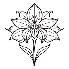 Minimalist Lily Flower Line Drawing Design