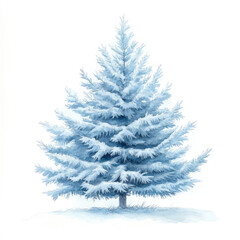 Watercolor Soft Blue Fir Tree Illustration