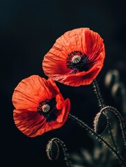 Red flowers on plant