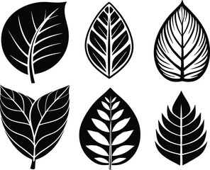 set of leaves silhouettes,  collection leaf icon vector black 