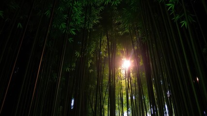 Glowing light filtering through dense bamboo forest at night, glow