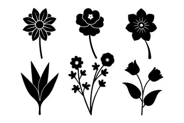 6 vector silhouette icon set of Ranunculus, Buttercup, Snowdrop, Heather, Larkspur, Delphinium