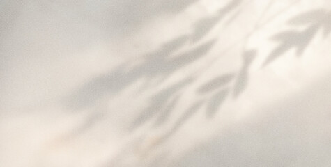 Shadows Dance in a Dusk wall