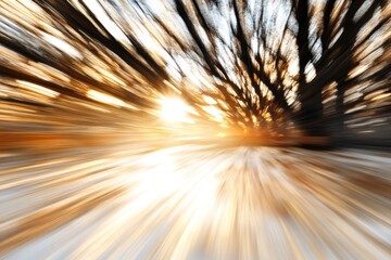 A blurry image of a tree in the middle of a forest