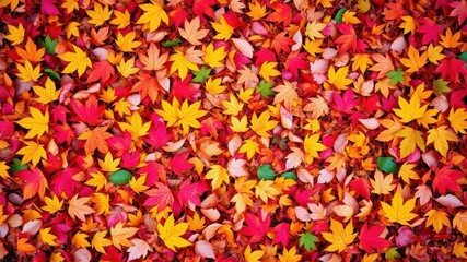 Vibrant and colorful autumn leaves covering the ground in a stunning background, forest
