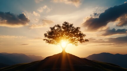 A lone tree on top of a mountain at sunset