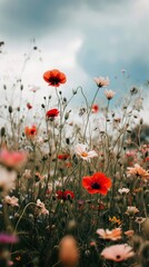 Obraz premium Flower landscape blossom field.