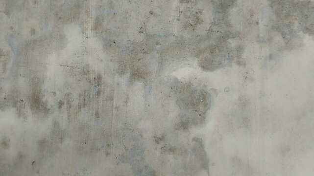 Black mold growing on the walls of the house, this is caused by damp walls