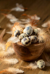 Quail eggs and feathers on a wooden table.