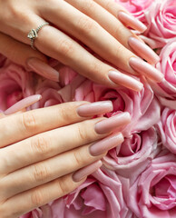 Elegant hands showcasing ombre manicured nails surrounded by fresh pink roses © Olena Rudo