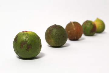 Green lime fruits on isolated white background. Sliced and unsliced.