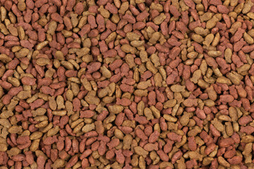 dry pet food background texture. close up. top view