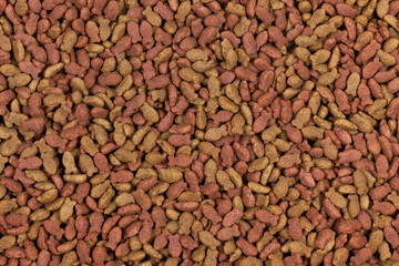 dry pet food background texture. close up. top view