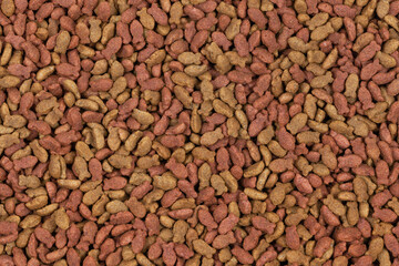 dry pet food background texture. close up. top view