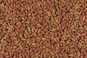 dry pet food background texture. close up. top view
