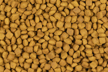 dry pet food background texture. close up. top view