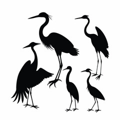 a group of bird flying and standing pose vector silhouette