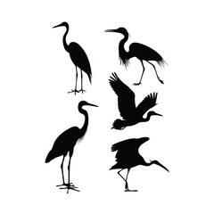 Obraz premium a group of bird flying and standing pose vector silhouette