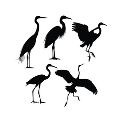 a group of bird flying and standing pose vector silhouette