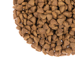 dry pet food isolated on white background. close up. top view. blank for designers