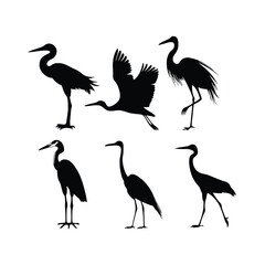 a group of bird flying and standing pose vector silhouette
