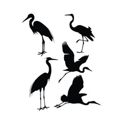 a group of bird flying and standing pose vector silhouette