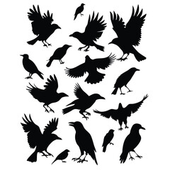 Obraz premium a set of flying bird vector silhouette isolated white background