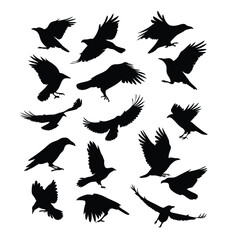 Obraz premium a set of flying bird vector silhouette isolated white background