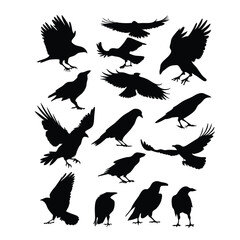 a set of flying bird vector silhouette isolated white background