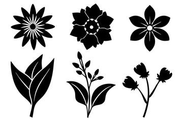 6 vector silhouette icon set of Edelweiss, Hollyhock, Tuberose, Indian Paintbrush, Forget-me-not, Calendula