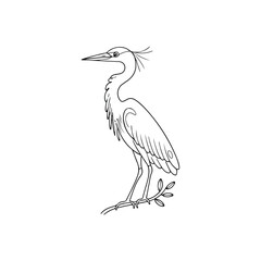 Black Heron bird silhouette hand drawing line art vector