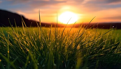 Dew-laden grass, vivid close-up, morning light, outdoor setting, 3D illustration.