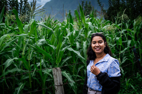 beautiful young indian woman enjoying the lush corn plantation during monsoon in the foothills of Himalayas mountain in parvati valley, Himachal Pradesh, India
