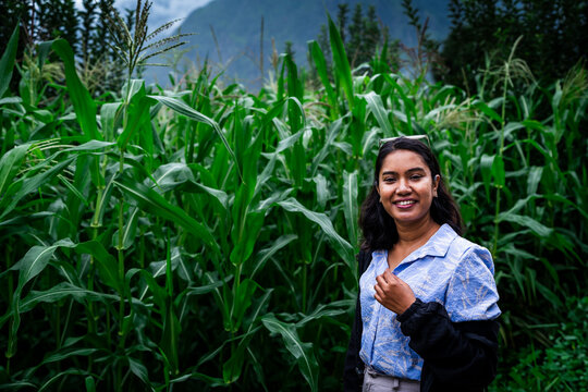 beautiful young indian woman enjoying the lush corn plantation during monsoon in the foothills of Himalayas mountain in parvati valley, Himachal Pradesh, India