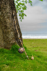Berimbau, musical instrument used in capoeira circles, traditional Brazilian fight dance