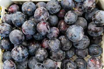 organic healthy natural market harvest background food ripe fruit sweet fresh juicy agriculture